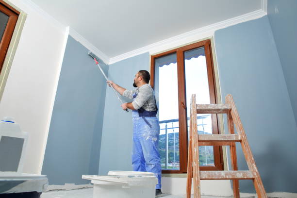 Best Mold Documentation for Insurance Claims  in Los Luceros, NM