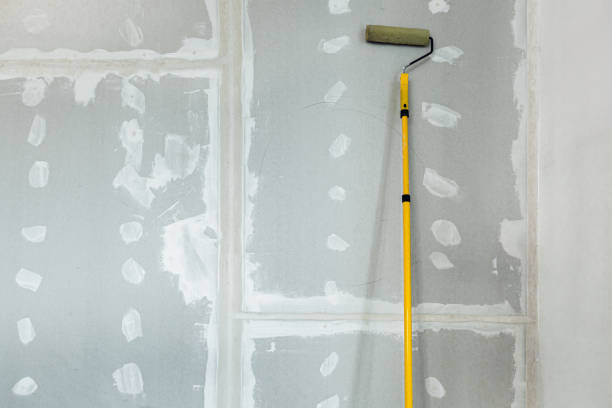 Best Residential Mold Inspection & Testing  in Los Luceros, NM