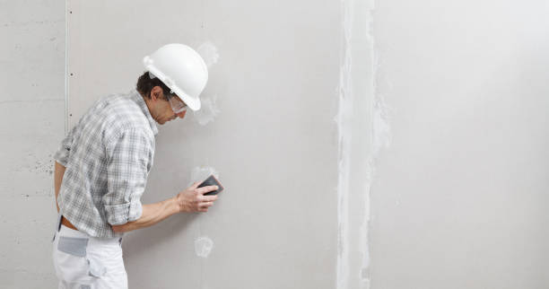 Best Residential Mold Inspection & Testing  in Los Luceros, NM