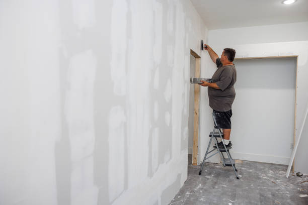 Best Commercial Mold Inspection  in Los Luceros, NM