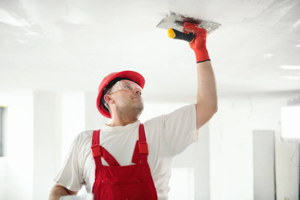 Mold Documentation for Insurance Claims in Los Luceros, NM