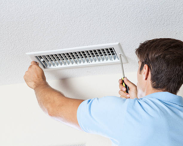 Best Biohazard Mold Removal  in Los Luceros, NM