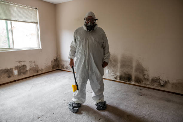 Best Emergency Mold Remediation  in Los Luceros, NM