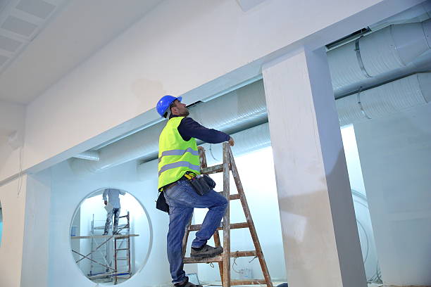Best Attic Mold Removal  in Los Luceros, NM