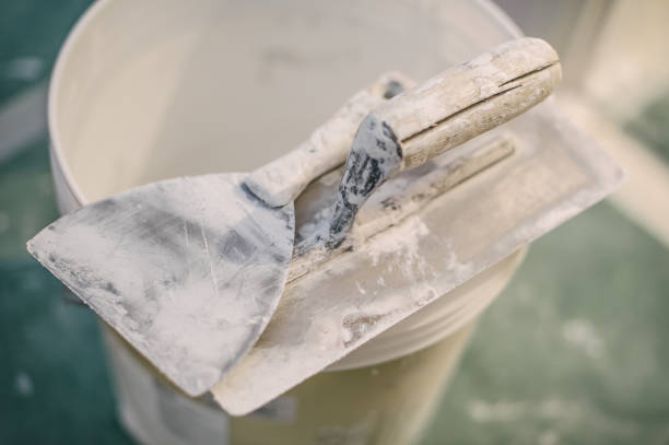 Best Mold Remediation for Healthcare Facilities  in Los Luceros, NM